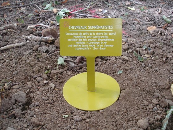 étiquettes